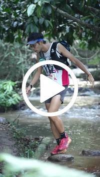 BIB:  <button type="button" onclick="openModal(27809109)" class="btn btn-primary btn-sm float-right" data-toggle="modal" data-target=".modal-high-quality">
                <i class="fa fa-download"></i> Download
                </button>